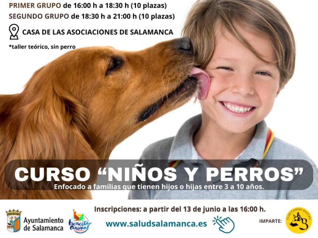 Curso niños y perros