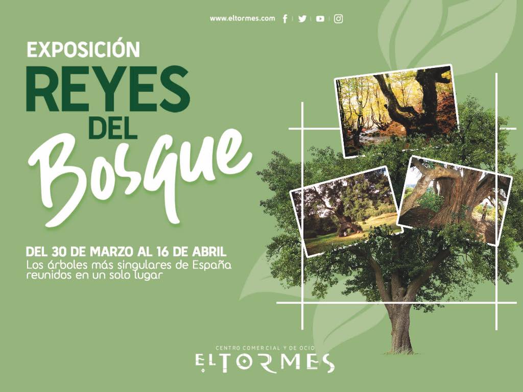 Exposición Reyes del Bosque en El Tormes, Salamanca